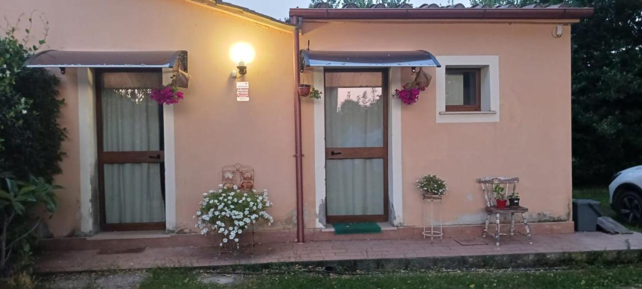 Casetta Di Laura Pisa Exterior foto